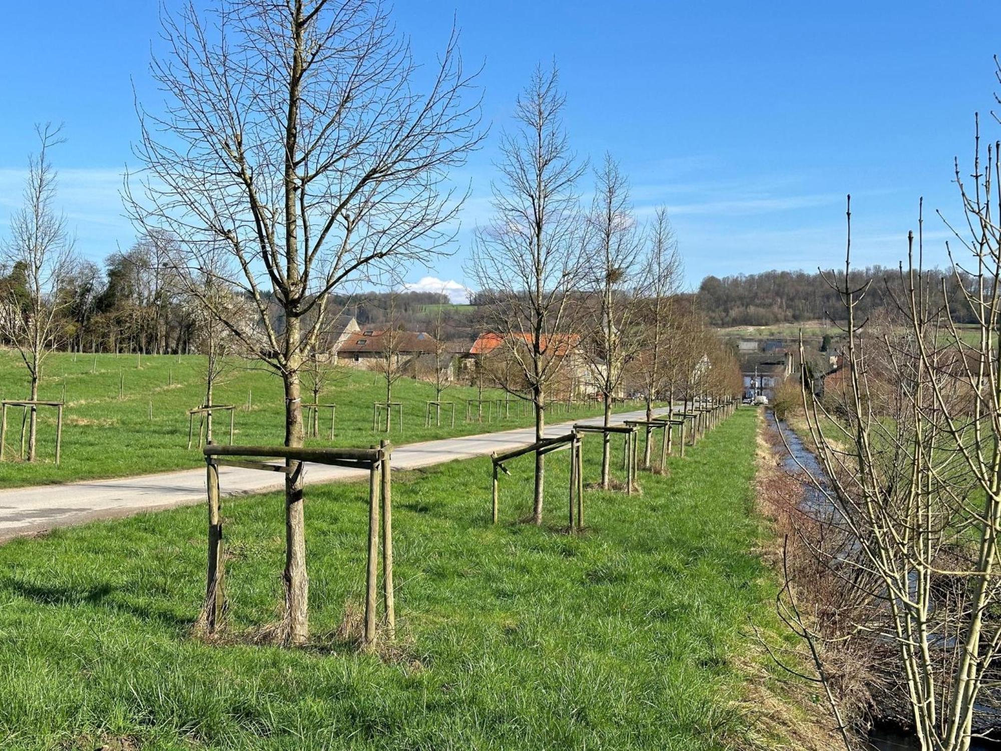 Gite Du Bois Villa Guignicourt-sur-Vence Eksteriør billede